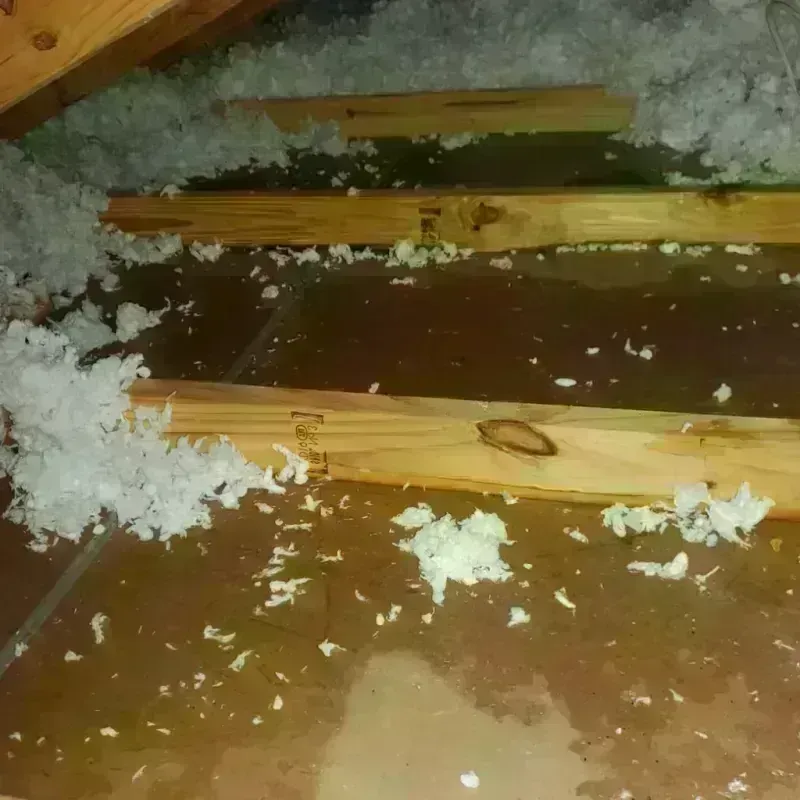 Attic Water Damage in Hot Springs, SD