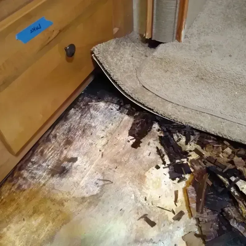 Wood Floor Water Damage in Hot Springs, SD